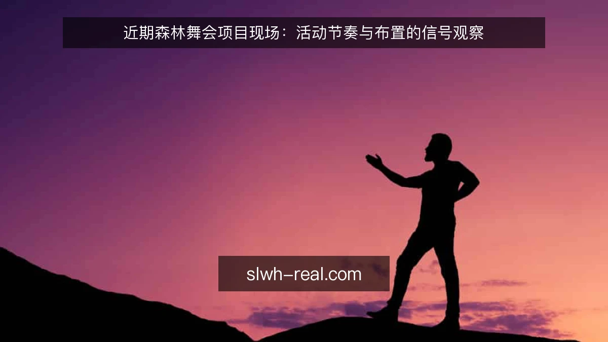 近期森林舞会项目现场：活动节奏与布置的信号观察