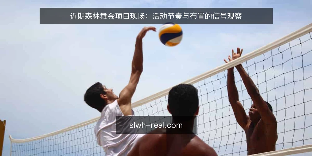 近期森林舞会项目现场:活动节奏与布置的信号观察 — 近期现场:活动节奏的信号 配图