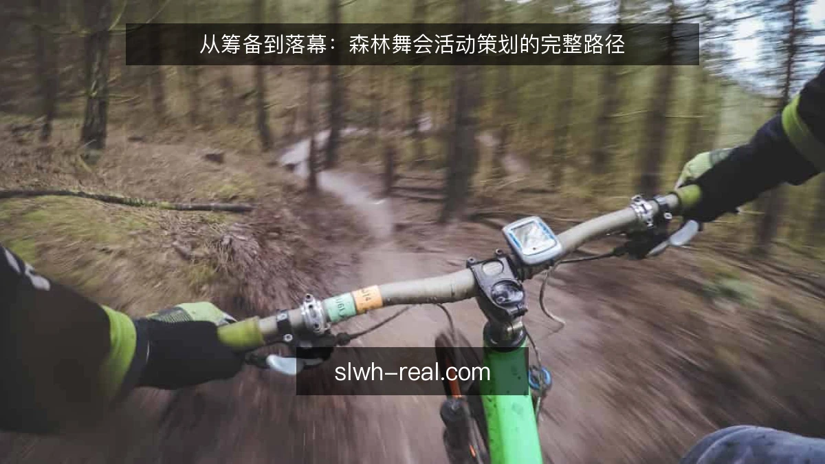 从筹备到落幕:森林舞会活动策划的完整路径