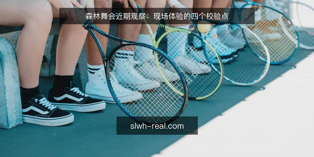 森林舞会近期观察:现场体验的四个校验点 — 当下需要留意的信号 配图