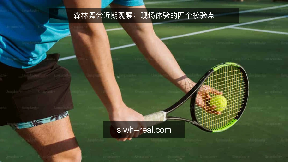森林舞会近期观察：现场体验的四个校验点